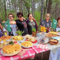 Участие в кулинарен фестивал